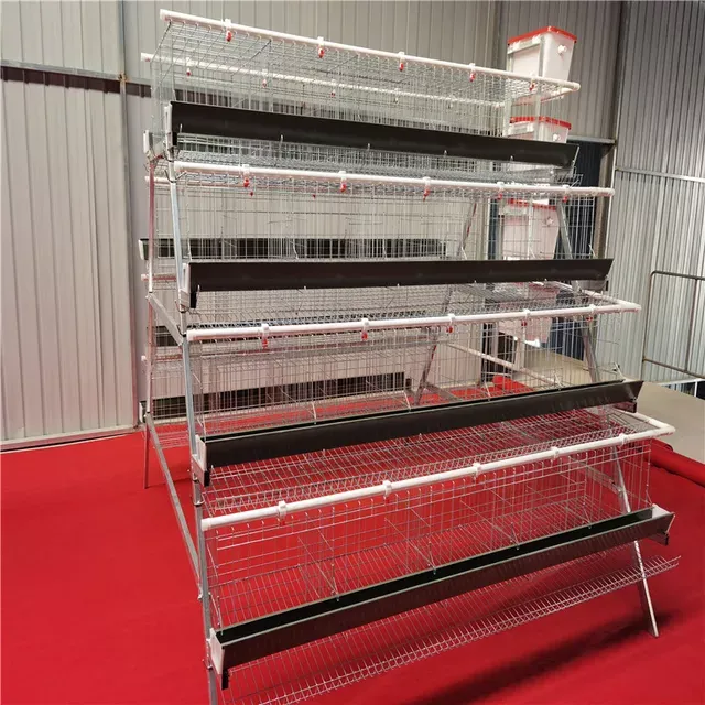 Layer Cages A-FRAME Pre-Order