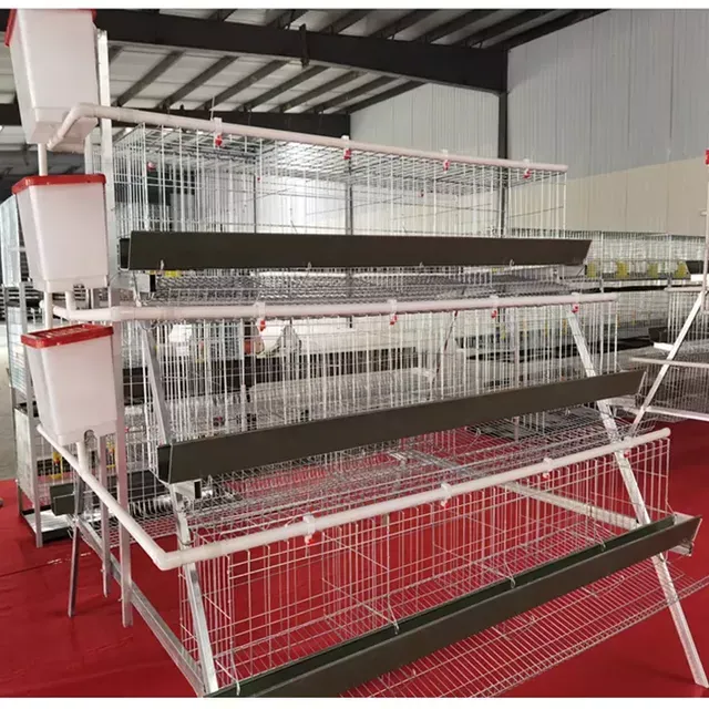 Layer Cages A-FRAME Pre-Order