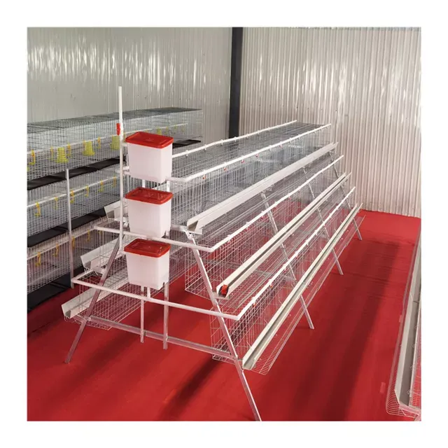 Layer Cages A-FRAME Pre-Order