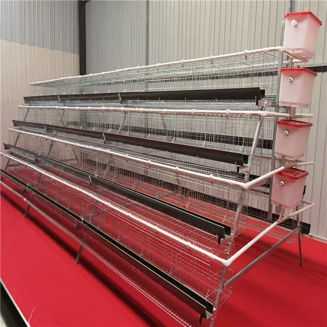 Layer Cages A-FRAME Pre-Order